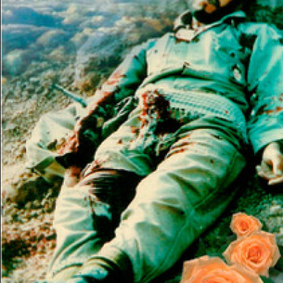 Immortal life through&nbsp;Death